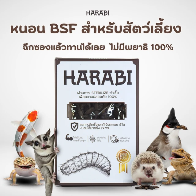 โปสเตอร์หนอน BSF HARABI พร้อมกล่องสินค้าและสัตว์เลี้ยง